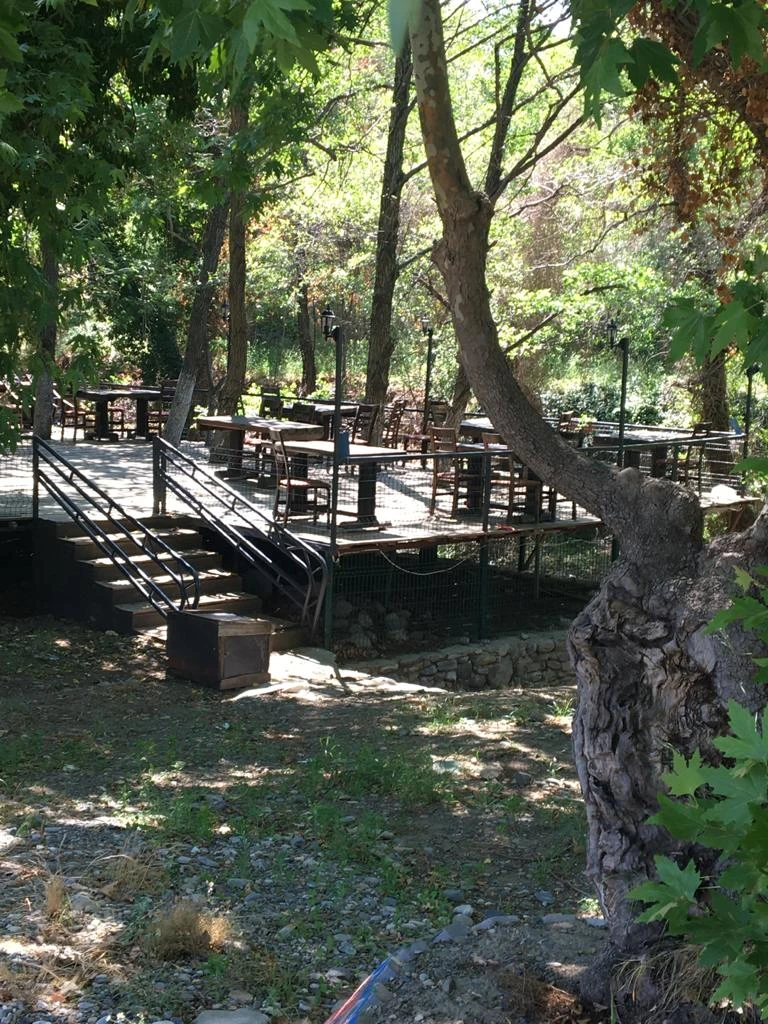 Kazdağı Kamp - Fotoğraf 2