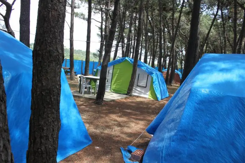 Erikli Camping - Fotoğraf 2
