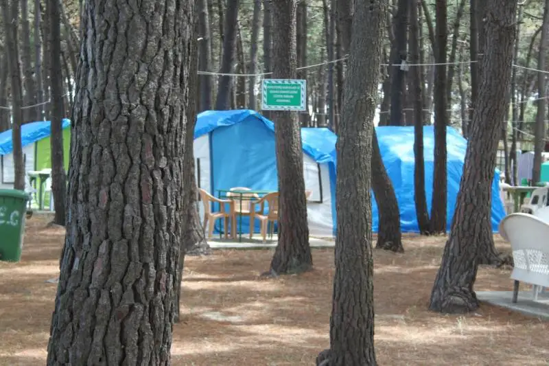 Erikli Camping - Fotoğraf 3