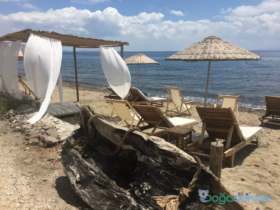 Kozluyalı Glamping - Fotoğraf 3