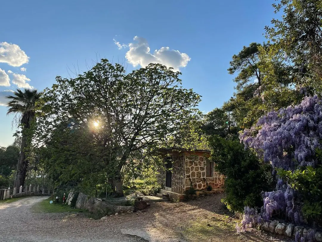 Bonjuk Bay Glamping - Fotoğraf 3