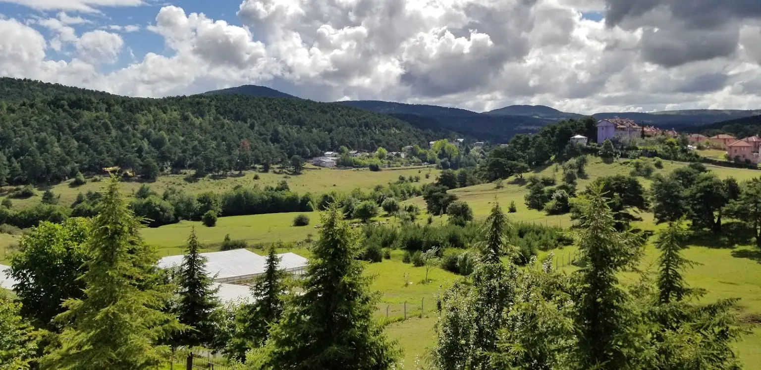 Niksar Camping Fotoğrafı