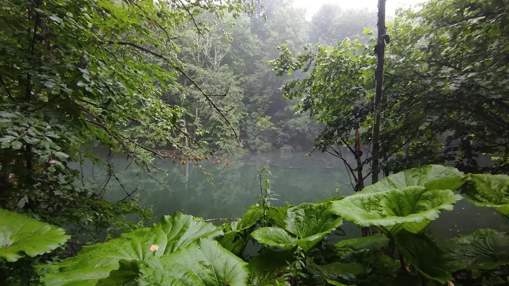 Yedigöller Milli Parkı Kamp Alanı - Fotoğraf 4