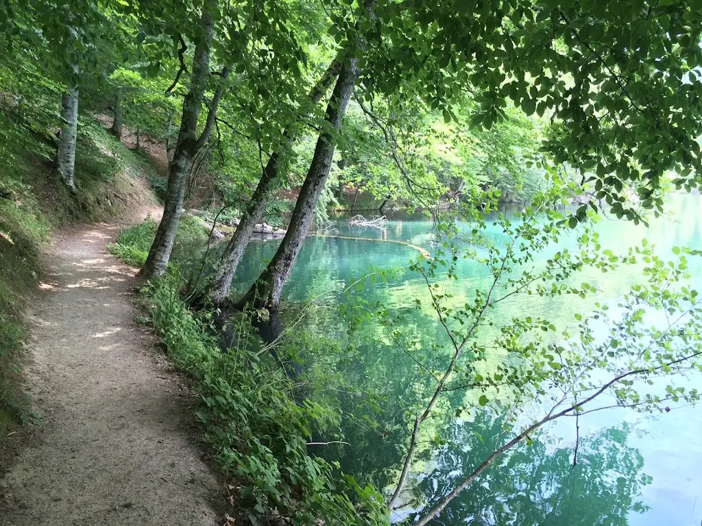 Yedigöller Milli Parkı Kamp Alanı - Fotoğraf 5