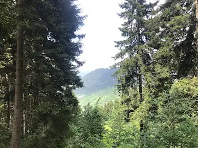 Livera Camping Fotoğrafı
