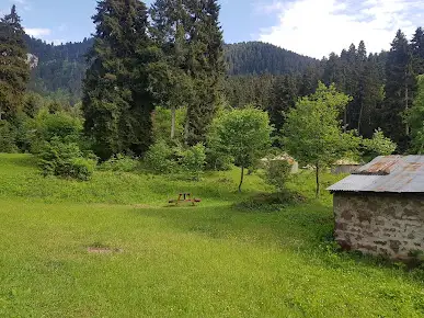 Livera Camping - Fotoğraf 2