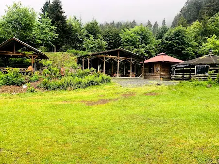 Livera Camping - Fotoğraf 4