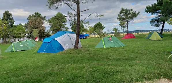Martı Kamping Fotoğrafı