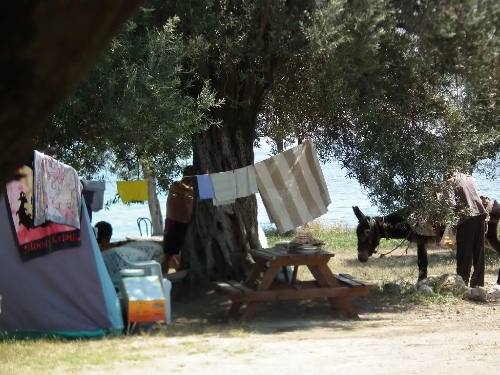 Deniz Camp - Fotoğraf 4