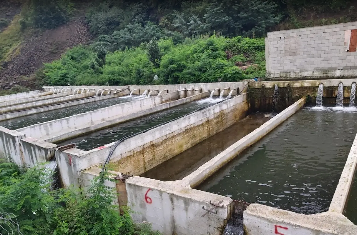 Sumelas Camping - Fotoğraf 4