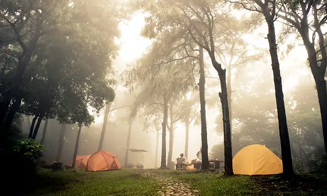 Güzelyalı Çamlık Park - Fotoğraf 3