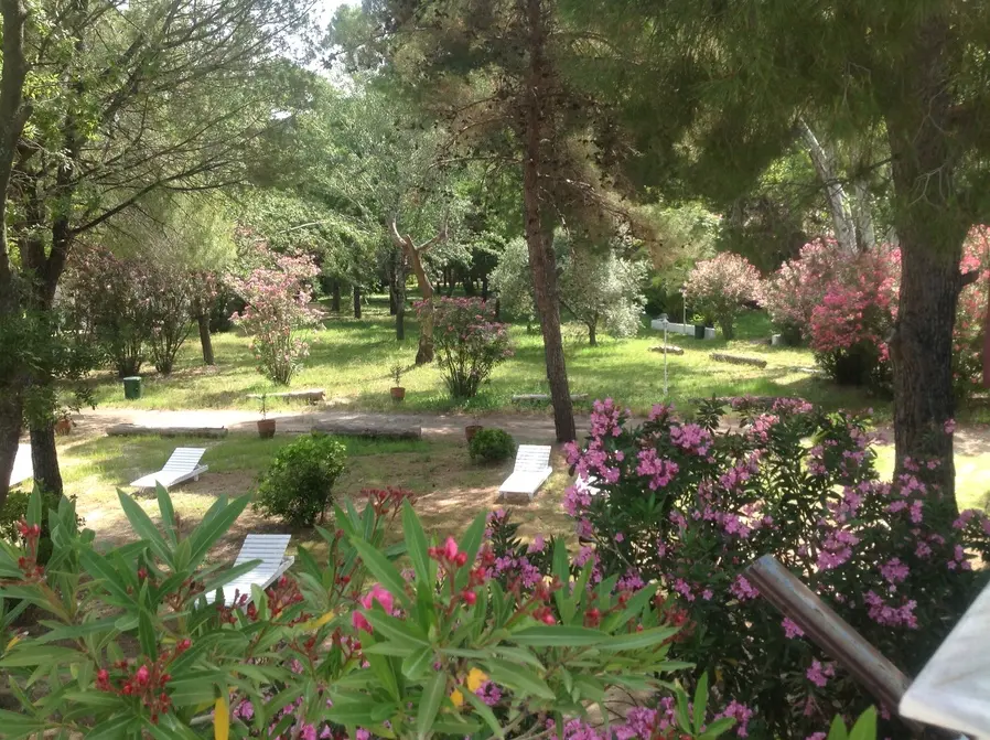 Altın Camp - Fotoğraf 3