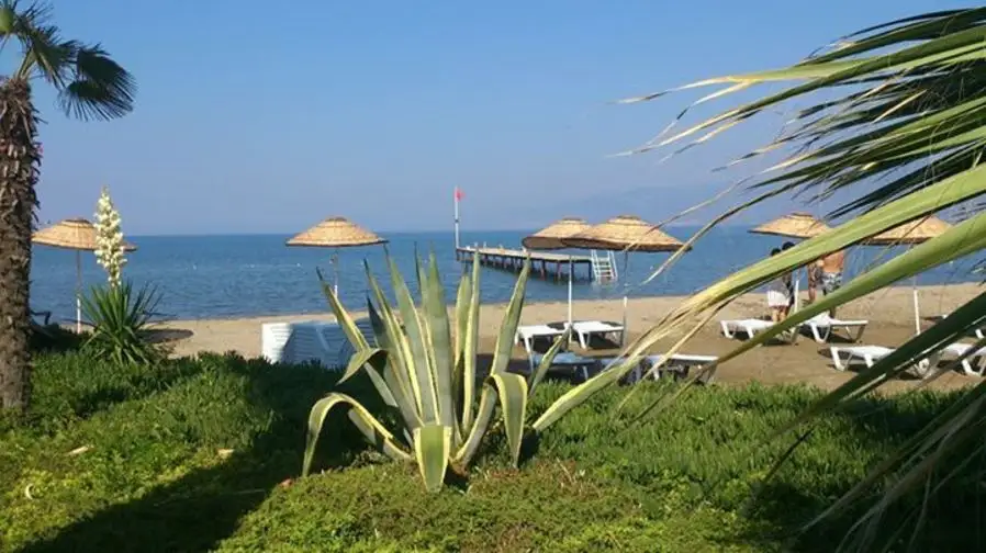Altın Camp - Fotoğraf 2