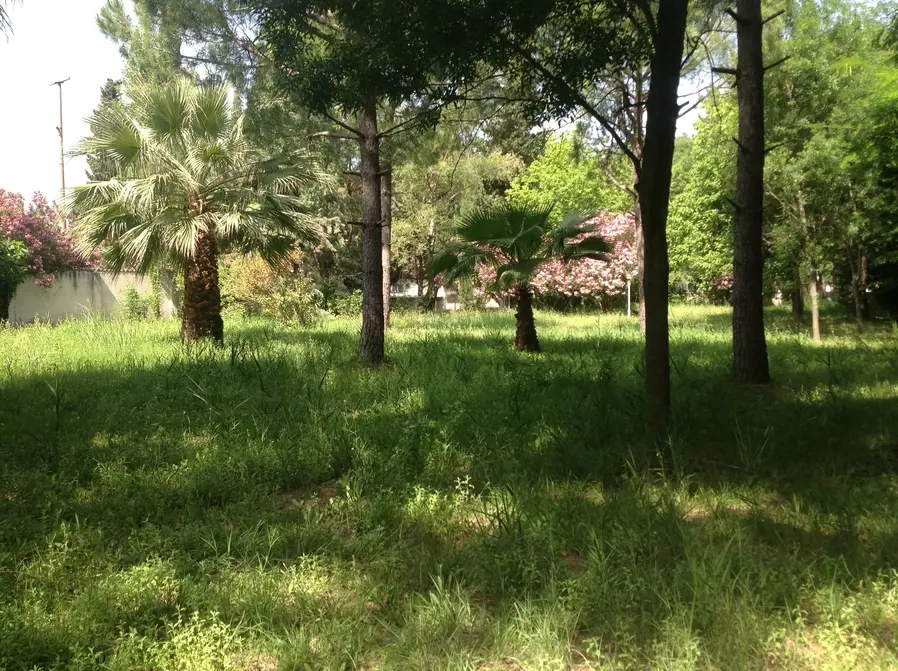 Altın Camp - Fotoğraf 5