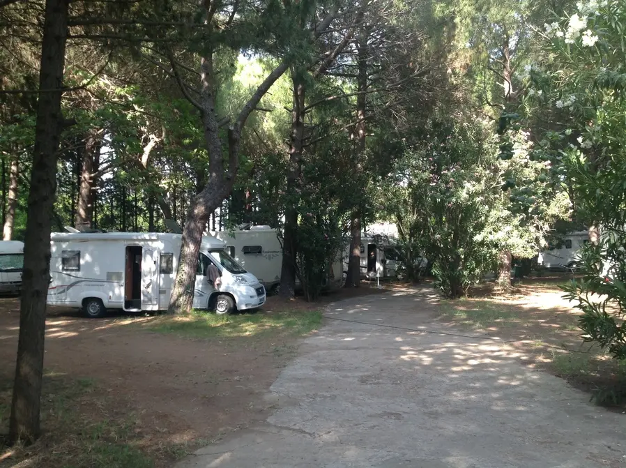 Altın Camp - Fotoğraf 4