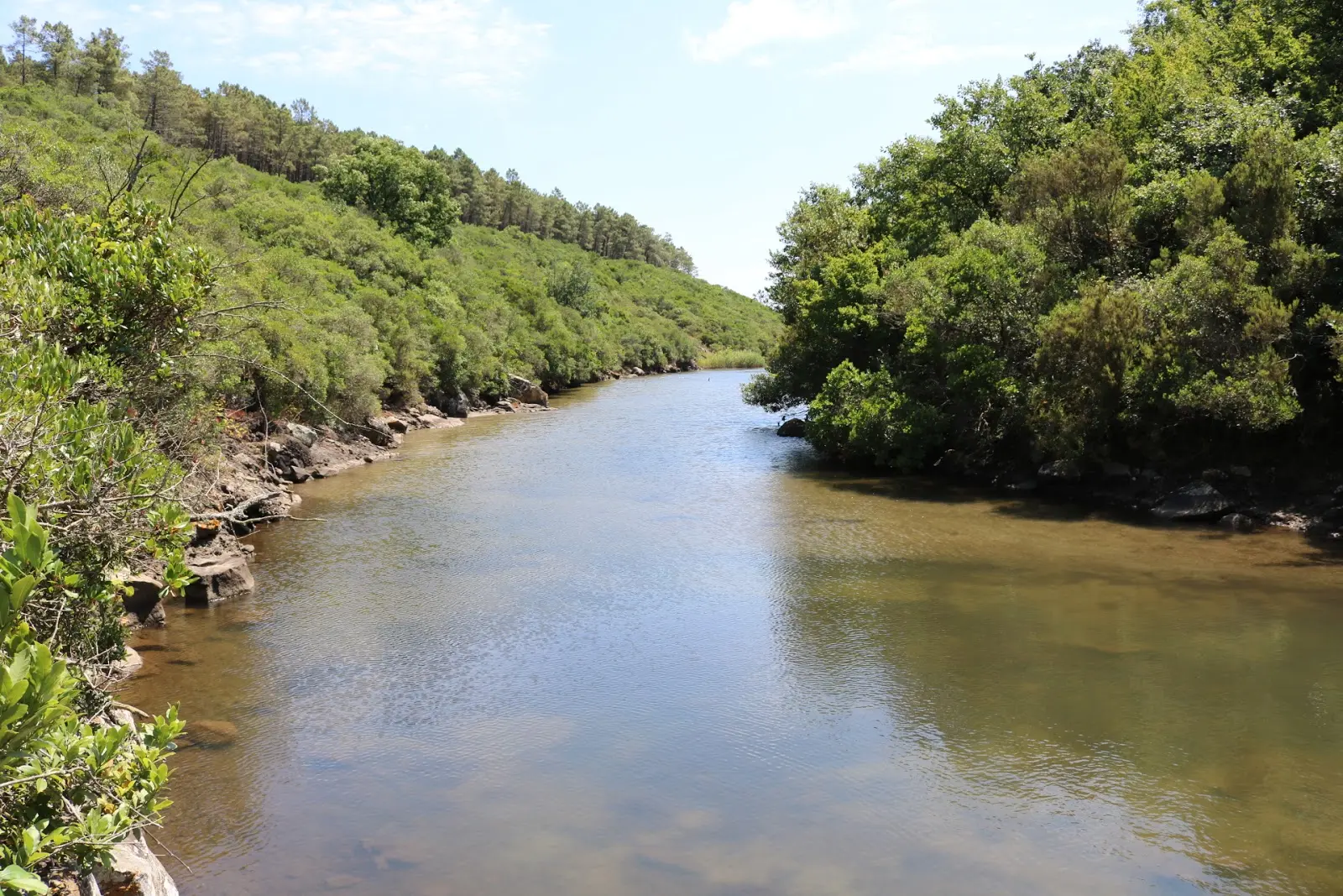 Sorgun Göleti - Fotoğraf 3