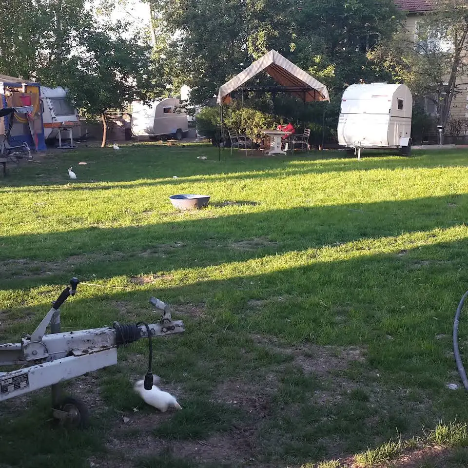 Güney Camping Kayaş - Fotoğraf 5