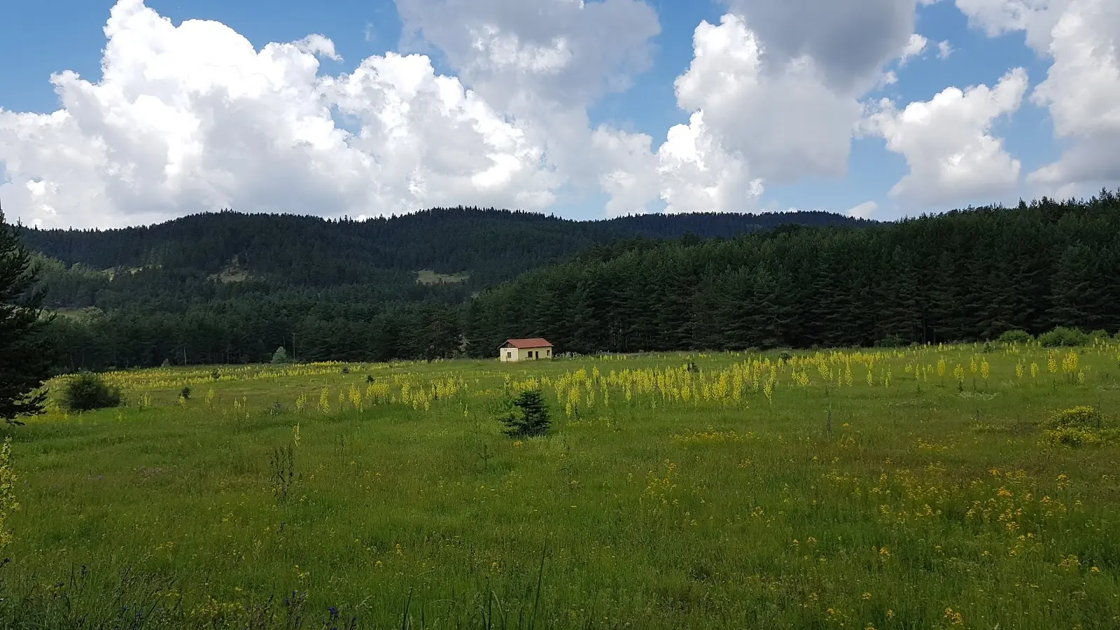Şahinler Tabiat Parkı - Görsel 1