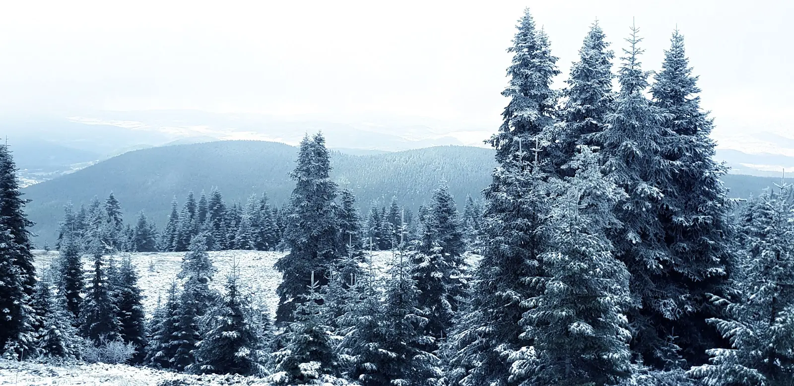 Şahinler Tabiat Parkı - Fotoğraf 5
