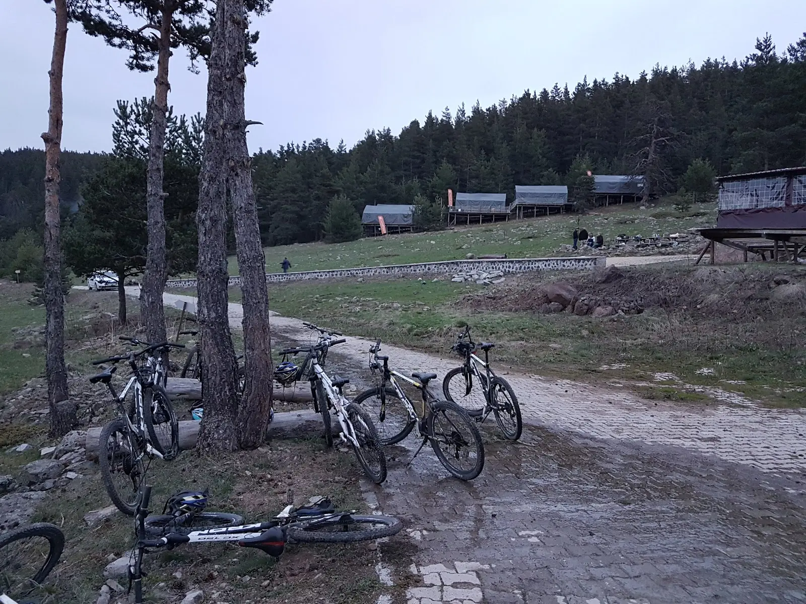 Kamp Bozayı - Fotoğraf 2