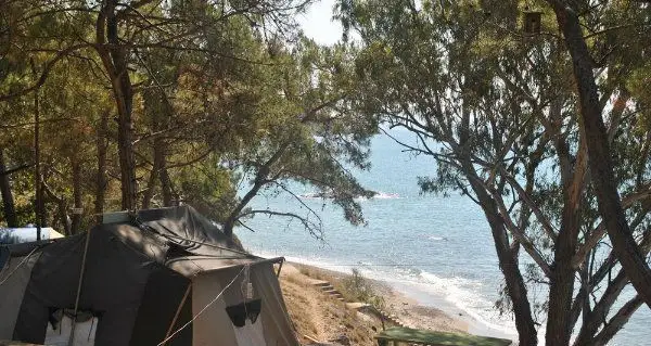 Talat Göktepe Orman Kampı - Fotoğraf 3