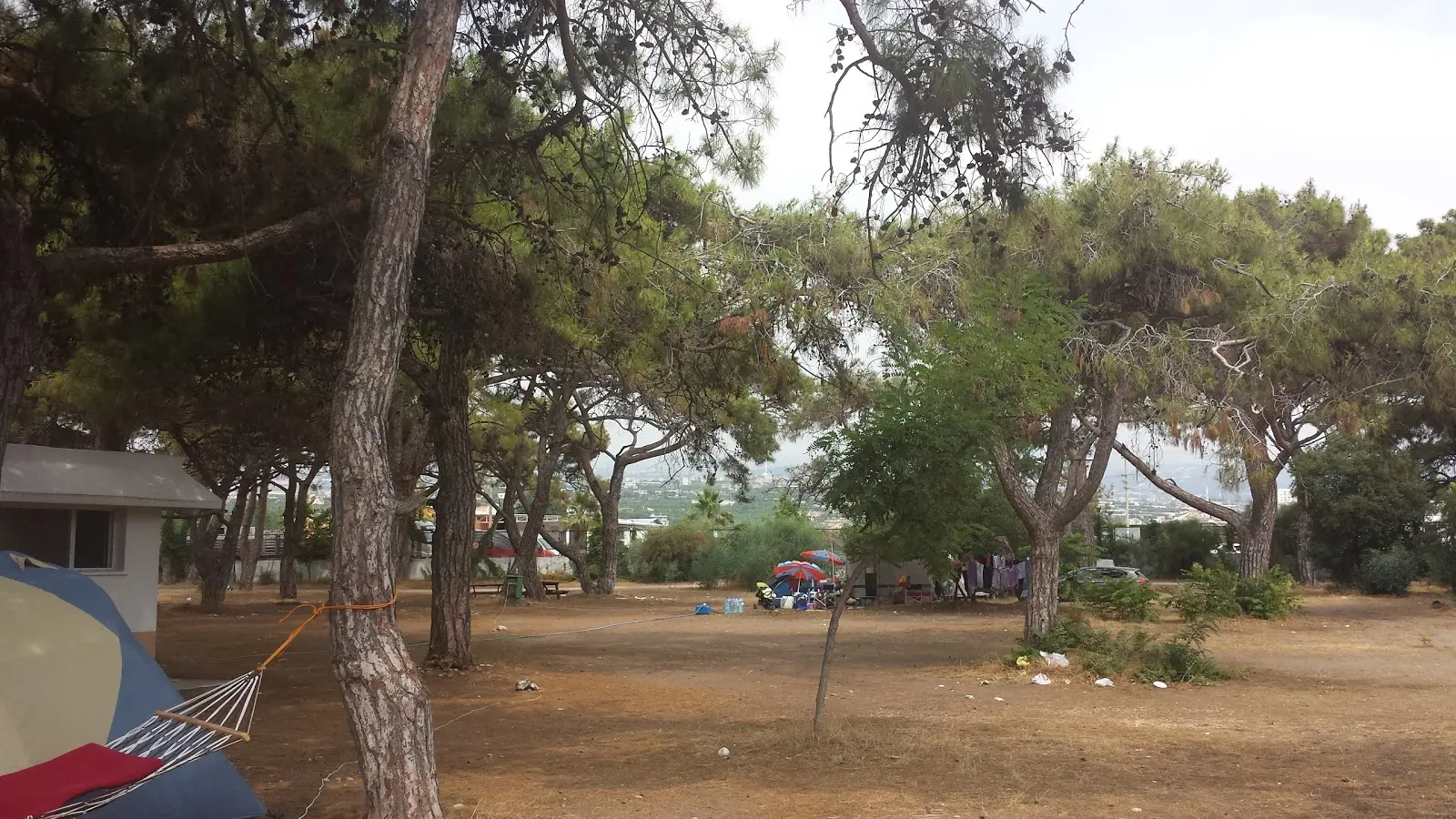 Talat Göktepe orman kamp alanı