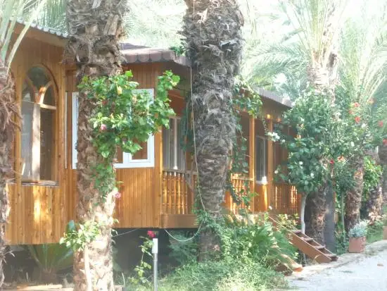 Paradise Kamping - Fotoğraf 2