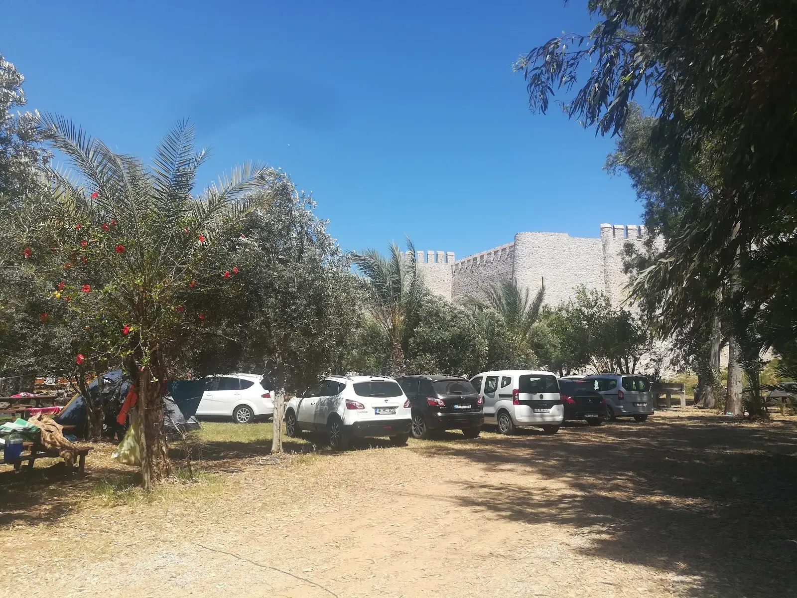 Paradise Kamping - Fotoğraf 3