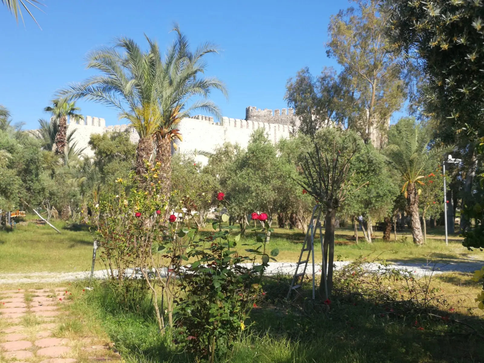 Paradise Kamping - Fotoğraf 5