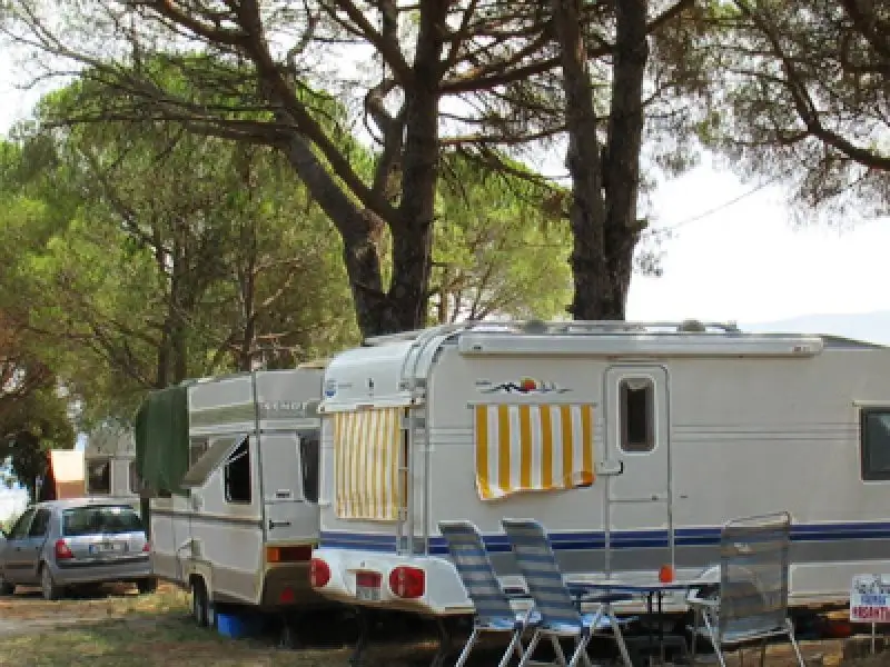 Ant Camping - Fotoğraf 3