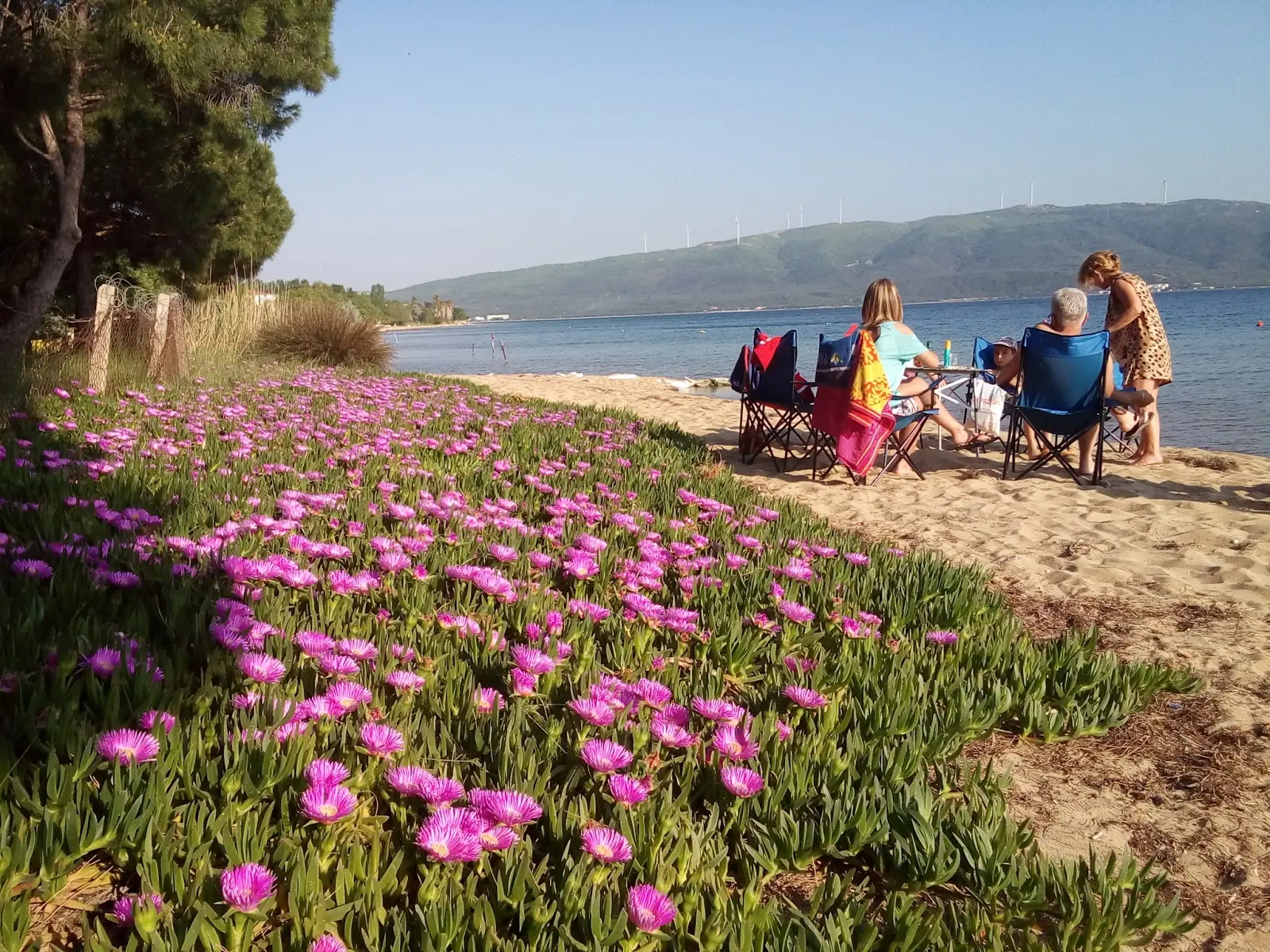 Ant Camping - Fotoğraf 4