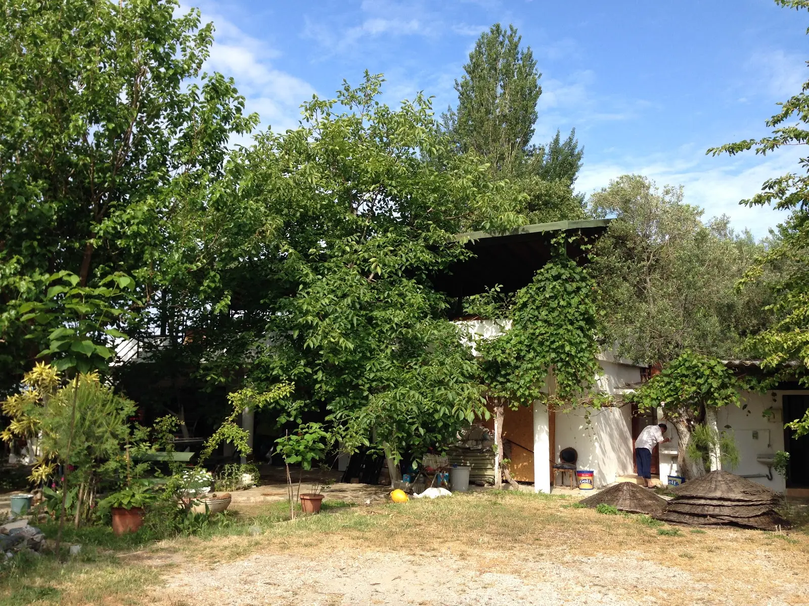 Endemik camping - Fotoğraf 4