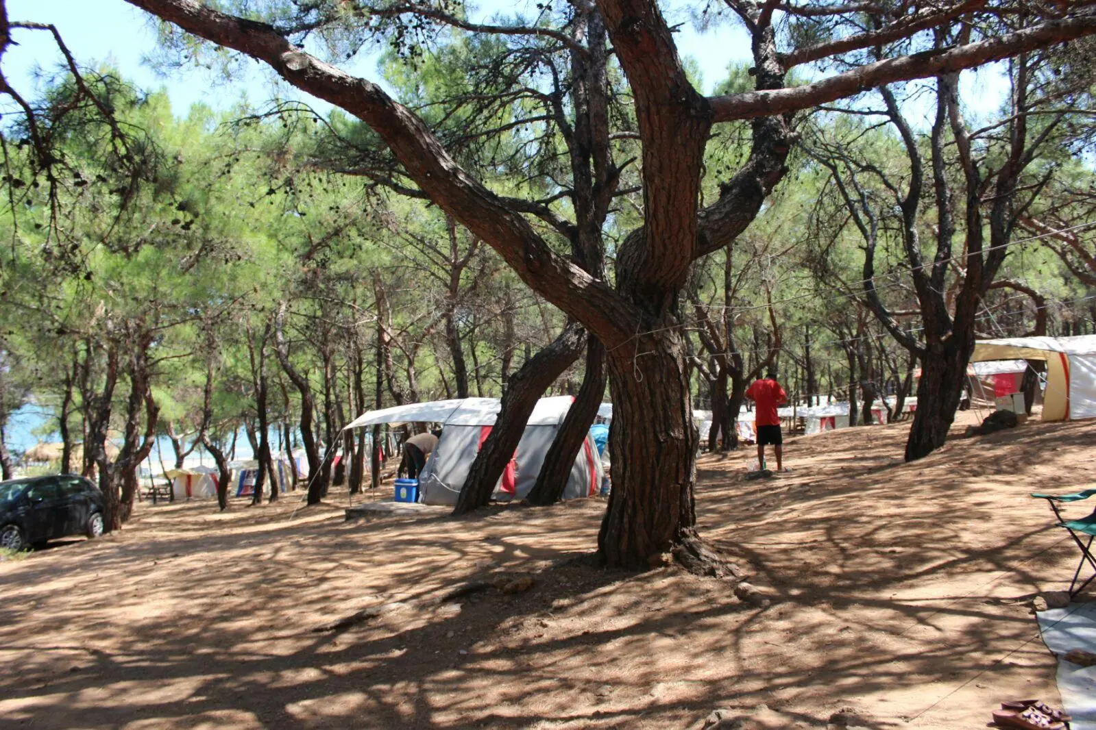Murat Reis Camping Summerhouse - Fotoğraf 4