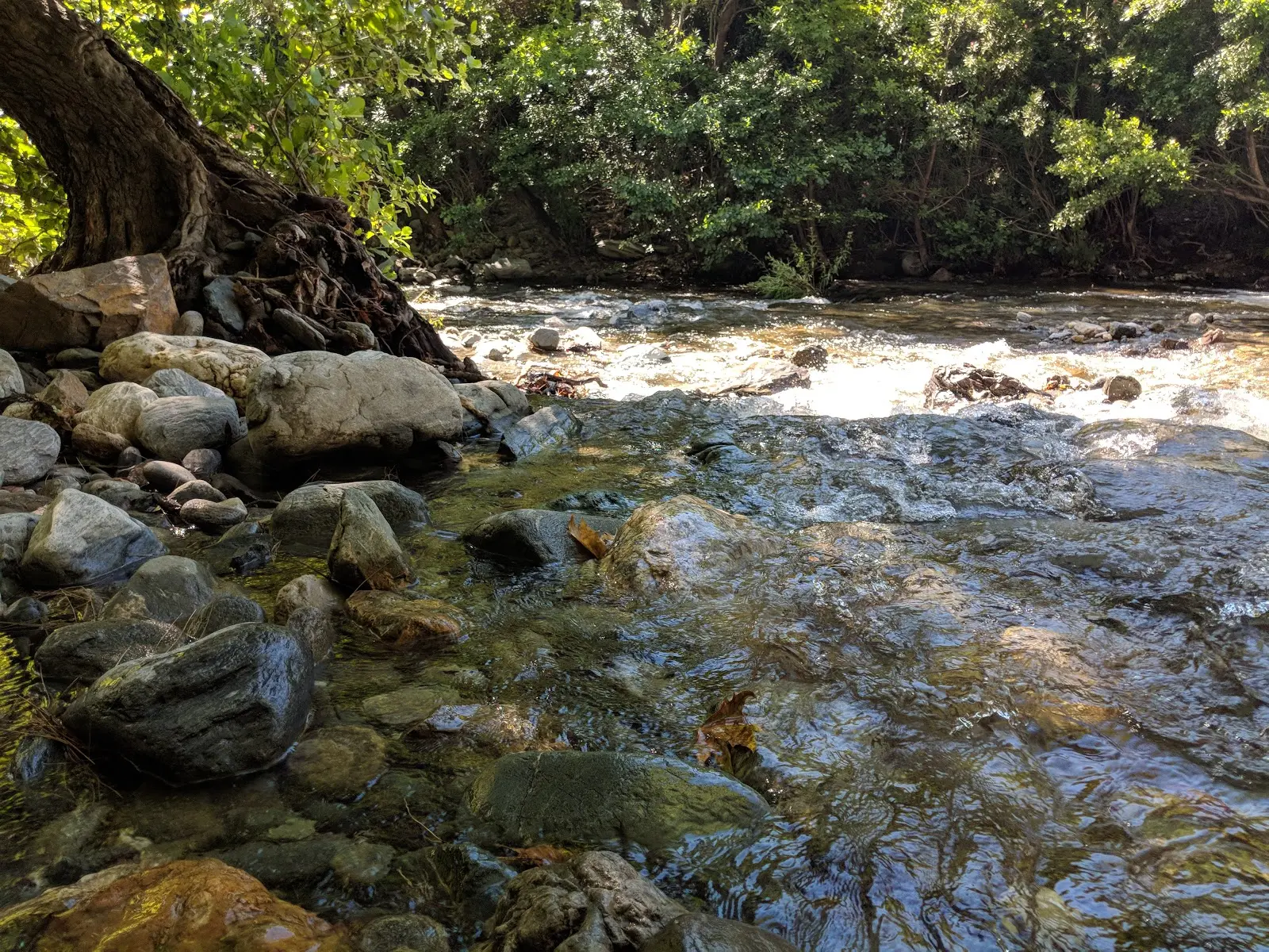 Hızır Kamp - Fotoğraf 4