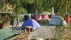 Çınar Camping - Fotoğraf 3