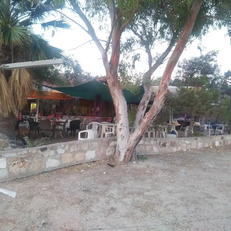 Remzinin Yeri Camping Fotoğrafı