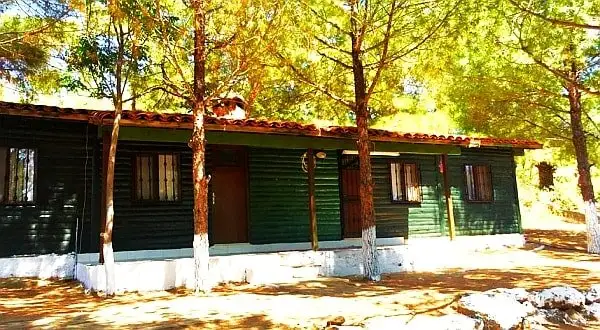 Kalemlik Orman Kampı Fotoğrafı