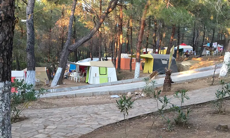 Kalemlik Orman Kampı - Fotoğraf 4