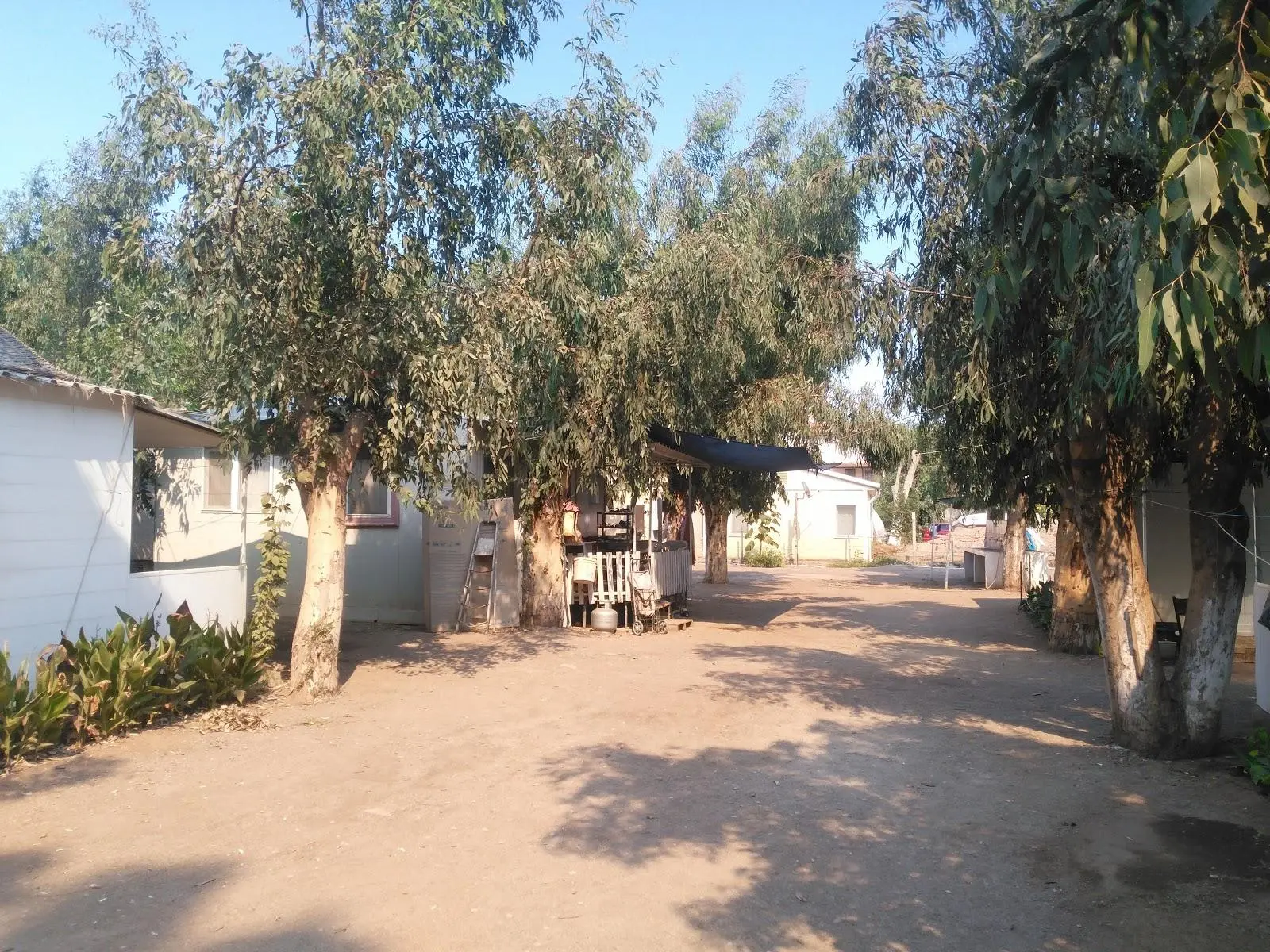 Ürkmez Kamping - Fotoğraf 5