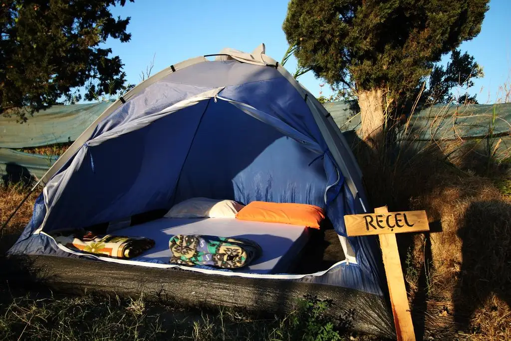 Teos Sanat Kampı Glamping Kamp Alanı - Fotoğraf 2