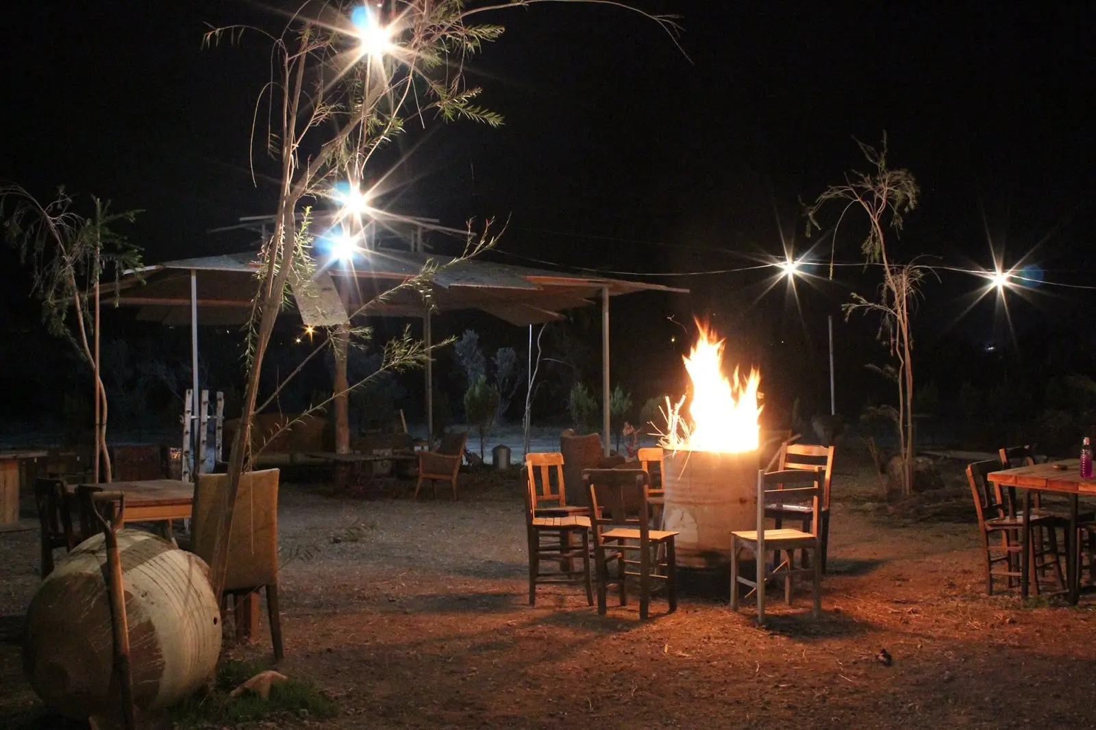 Teos Sanat Kampı Glamping Kamp Alanı - Fotoğraf 3