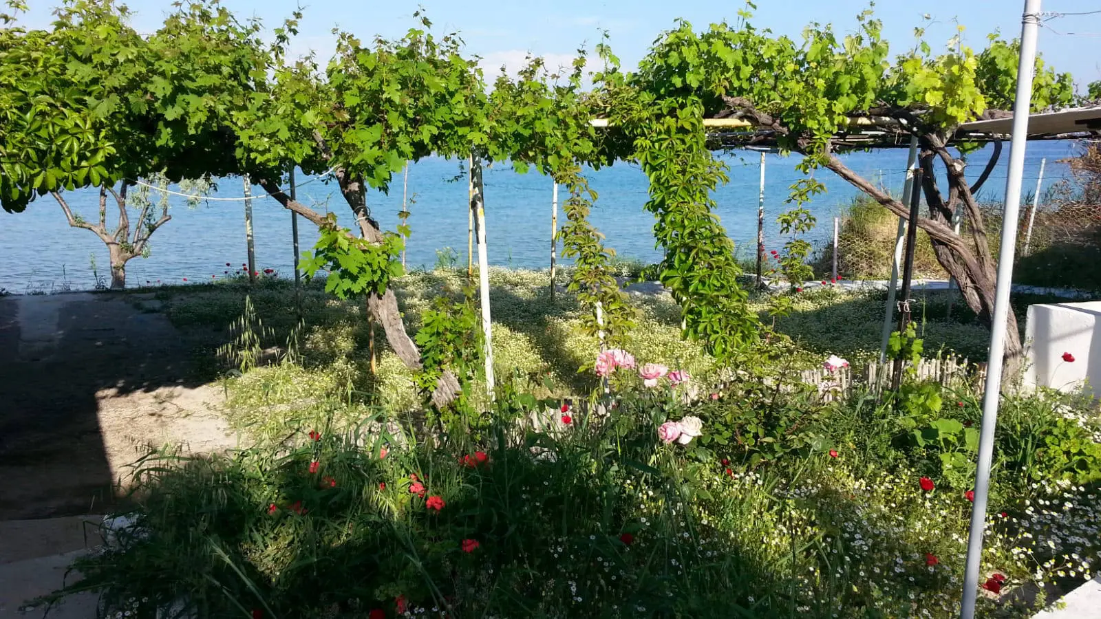 Boyabağ Özen Kamp Fotoğrafı