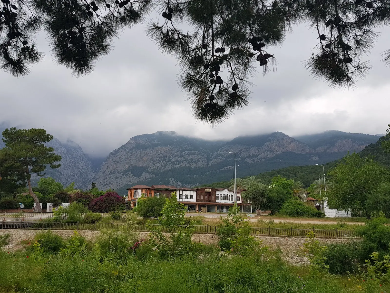 Mandalina Camping - Fotoğraf 4