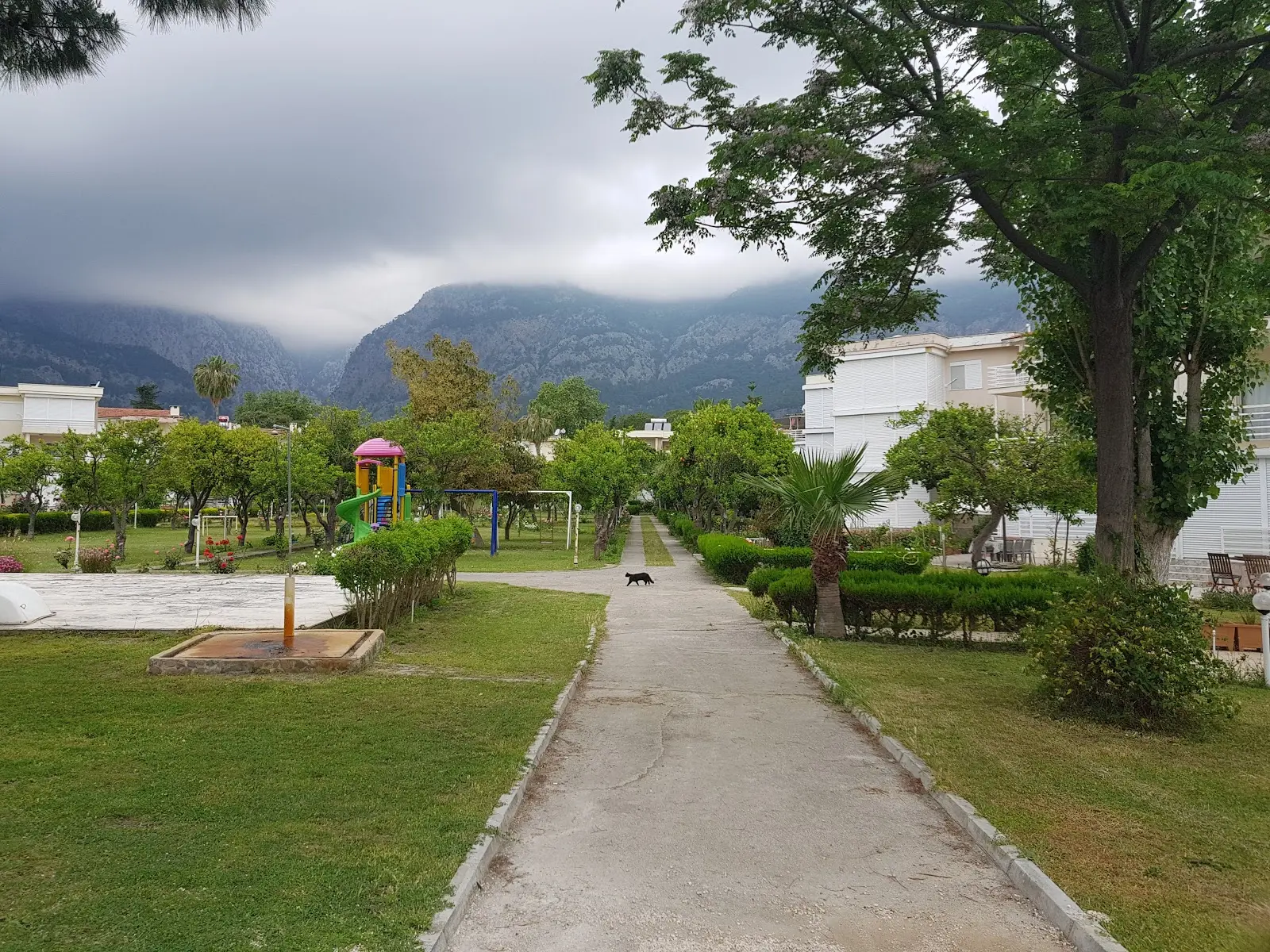 Mandalina Camping - Fotoğraf 5