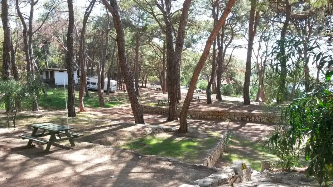 İncekum Orman Kampı Fotoğrafı