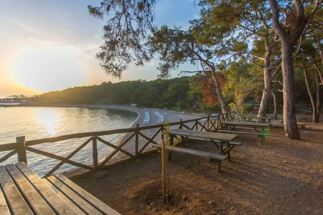 İncekum Orman Kampı - Fotoğraf 3