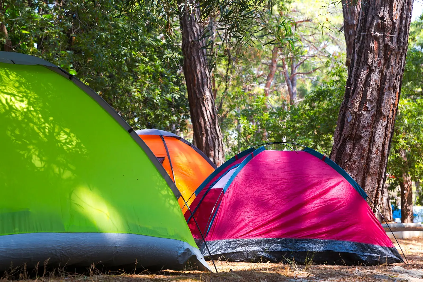 İncekum Orman Kampı - Fotoğraf 5