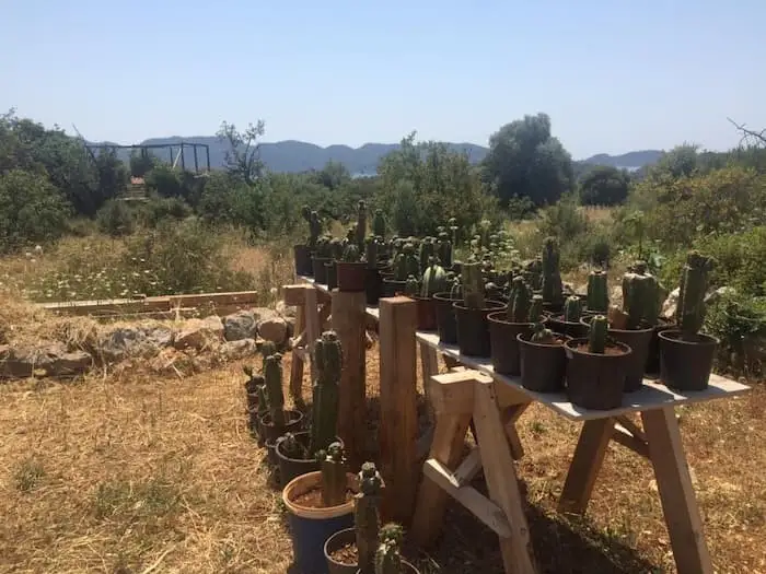 Kekova Camping - Fotoğraf 2
