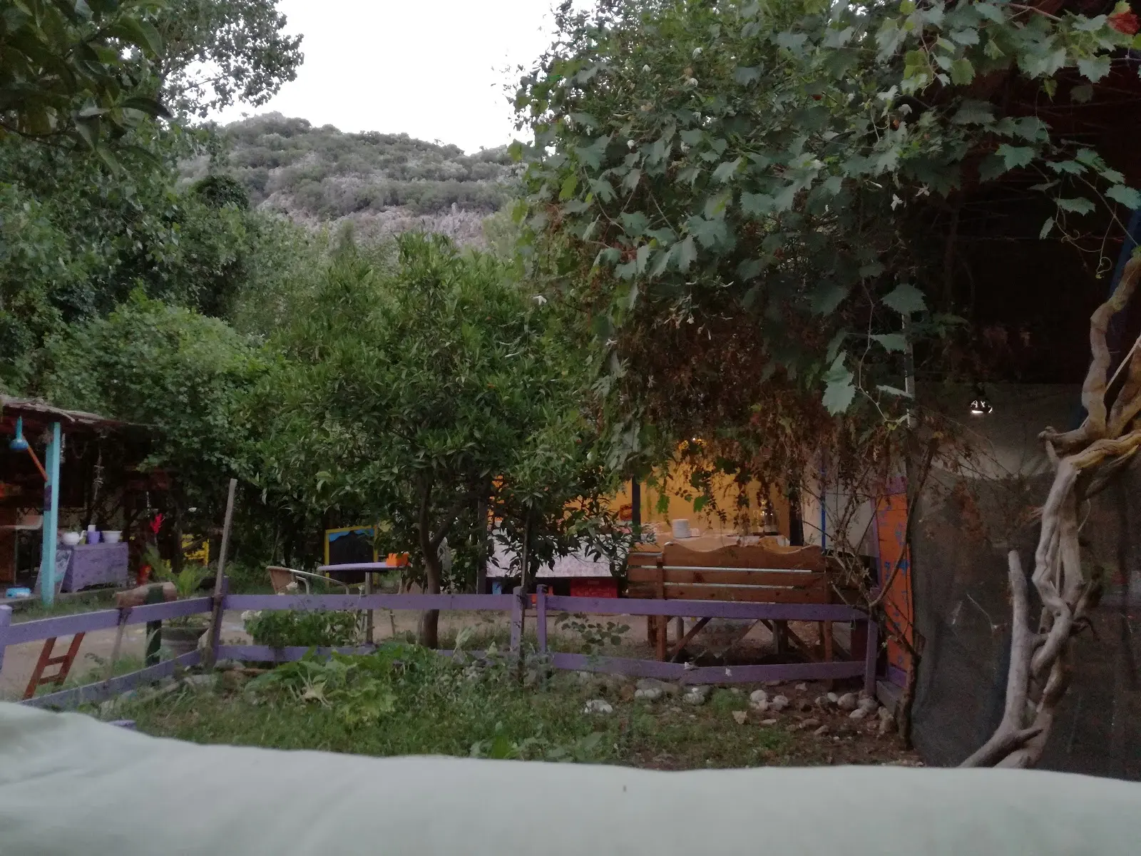 Aylak Yaşam Kampı - Fotoğraf 4
