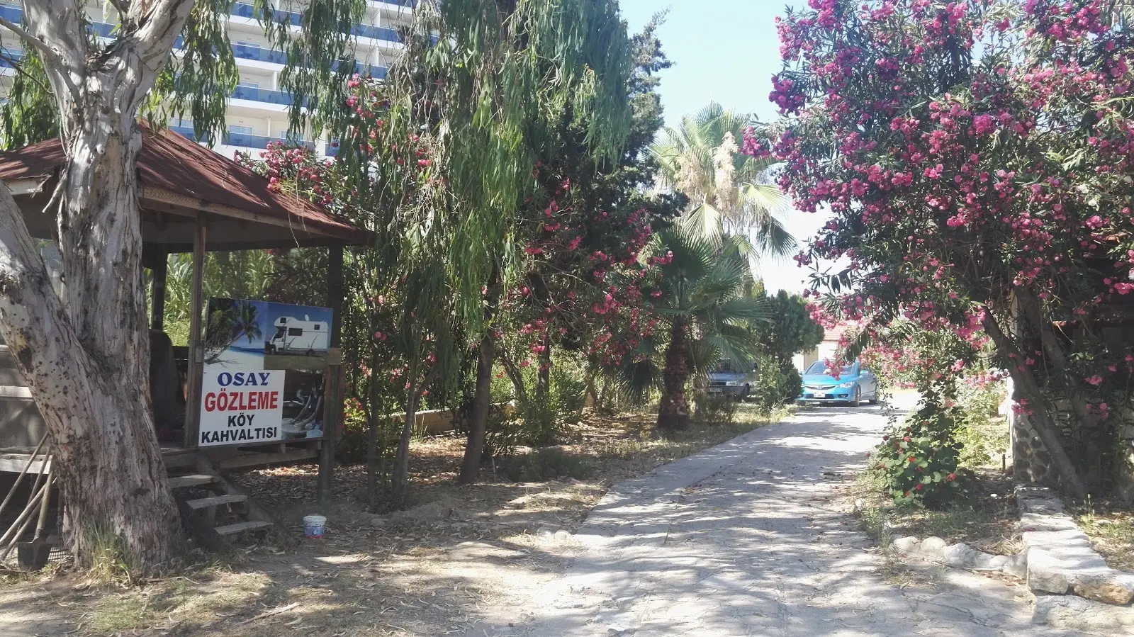 Osay Kamping - Fotoğraf 2